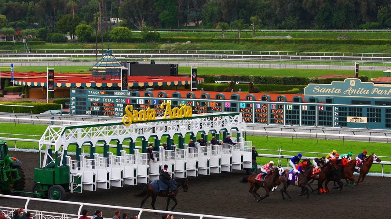 How to bet on horse racing in the Golden State