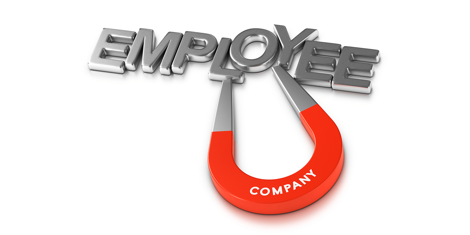 A magnet with the word 'company' on it and attracting the word employee
