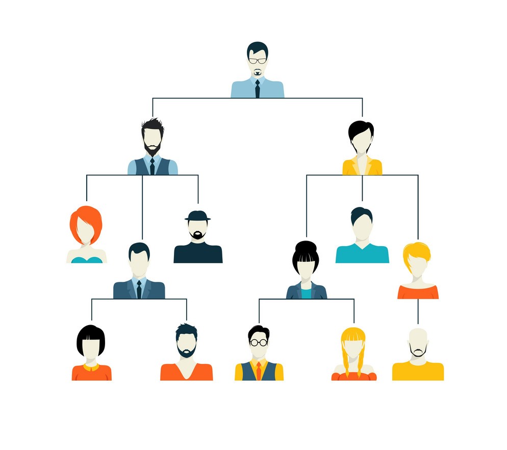 The Roles And Hierarchy In Your Community