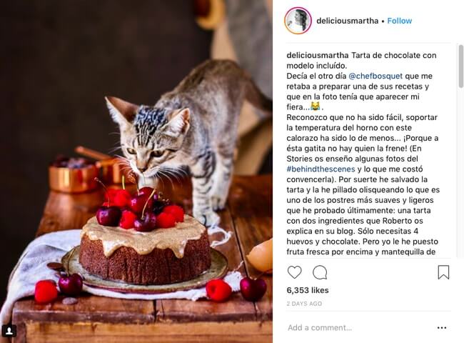 A cat smelling a cake and instagram comment section at the side