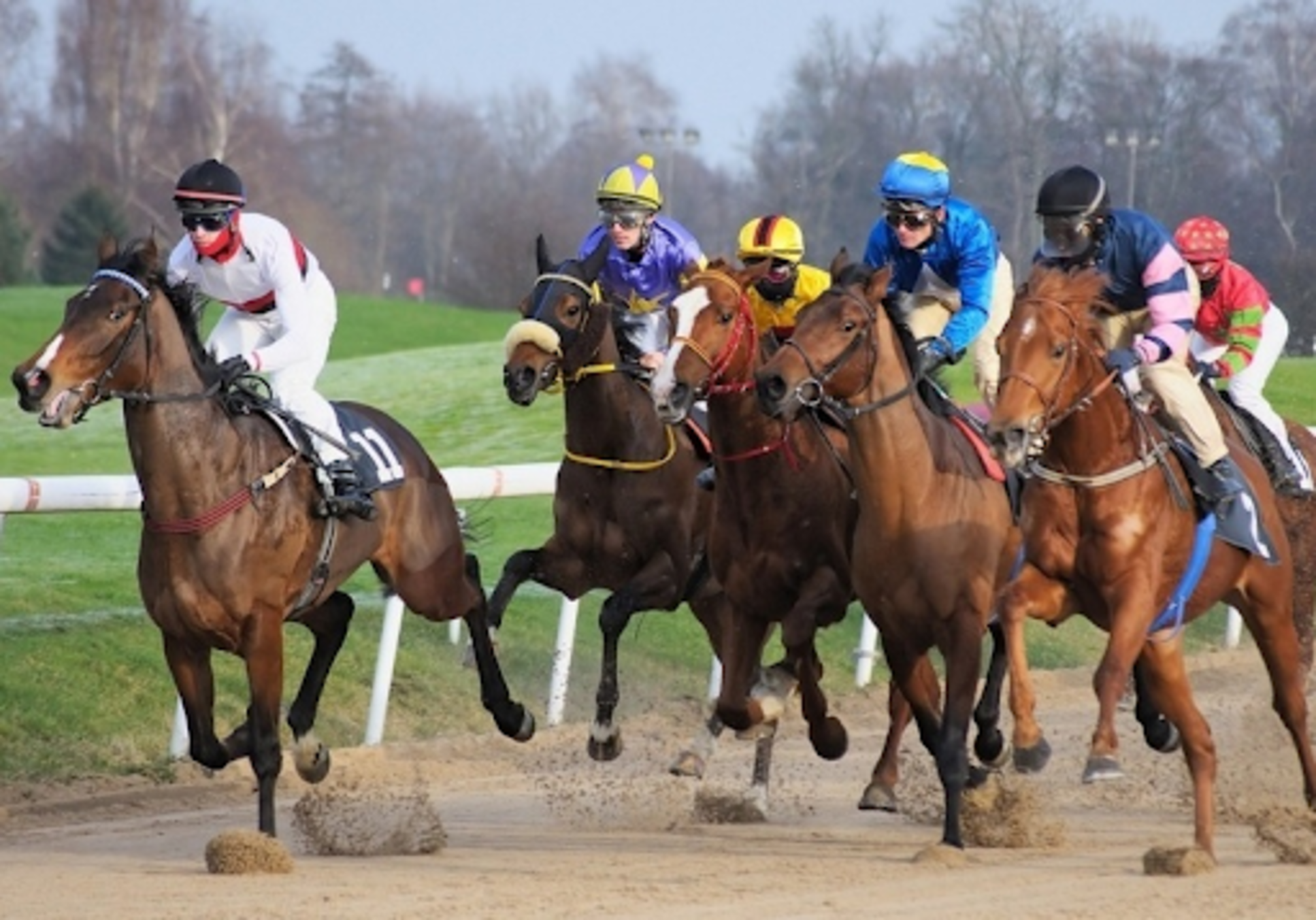 Betting Legal In India | Is Horse Racing Betting Legal In India?