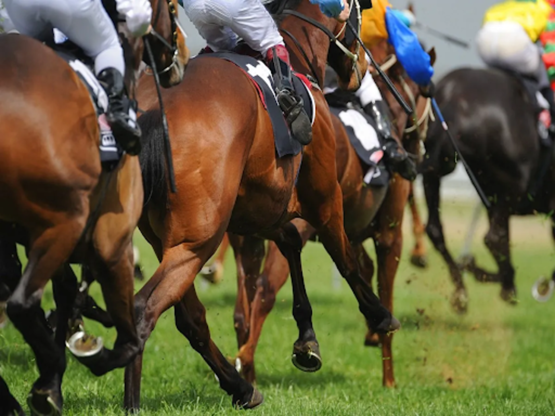 Why-horse-racing-betting
