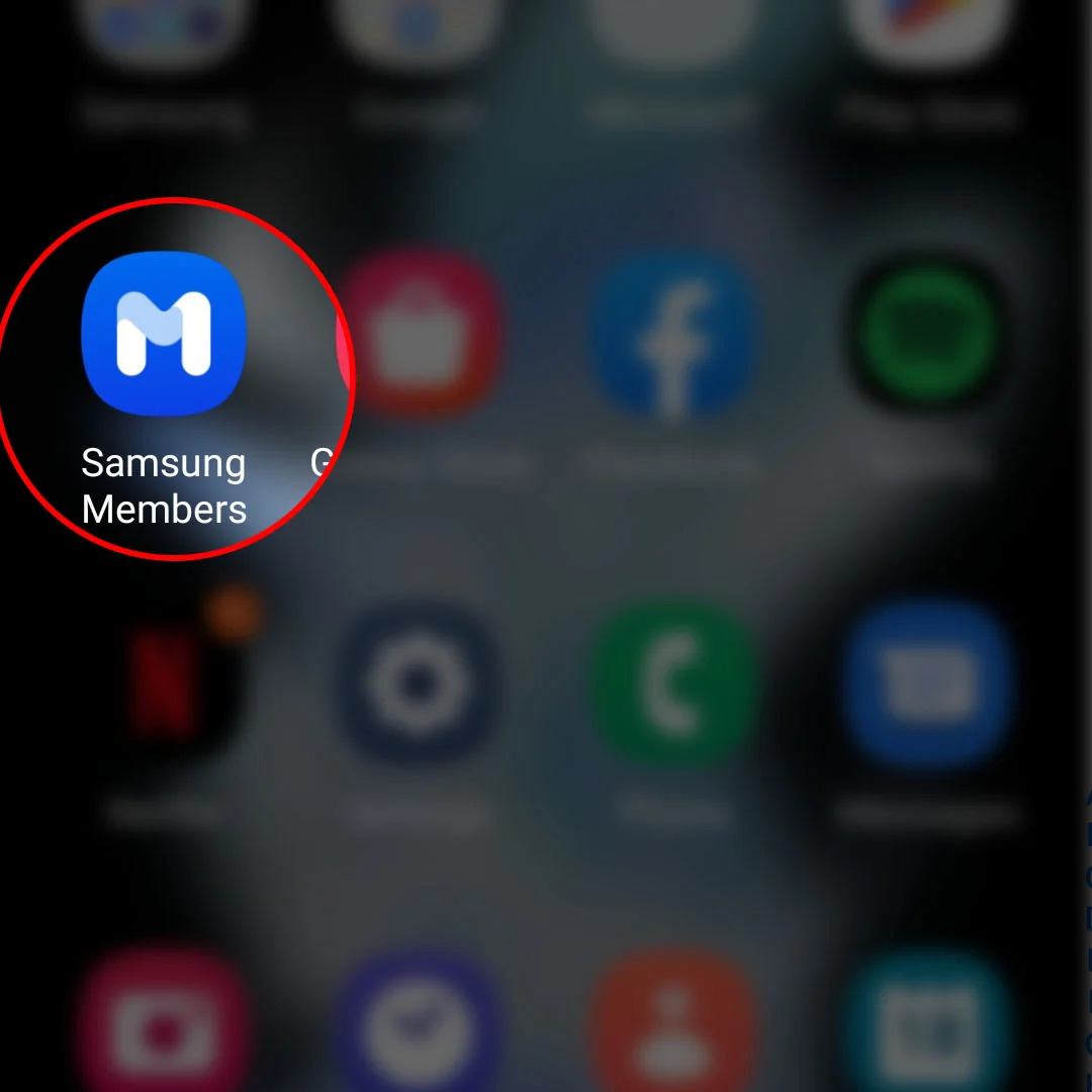 Samsung Members Icon