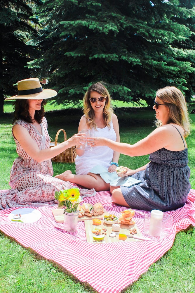 Women toasting having a picnic in a park