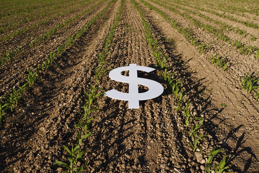 A dollar sign on a plowed field with plants.