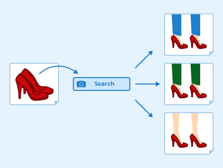 Visual-Search Infographic
