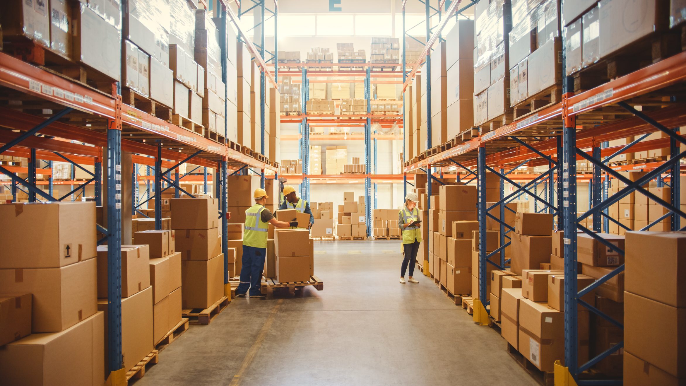 What Is Warehouse Management? Benefits, Processes, & Strategies