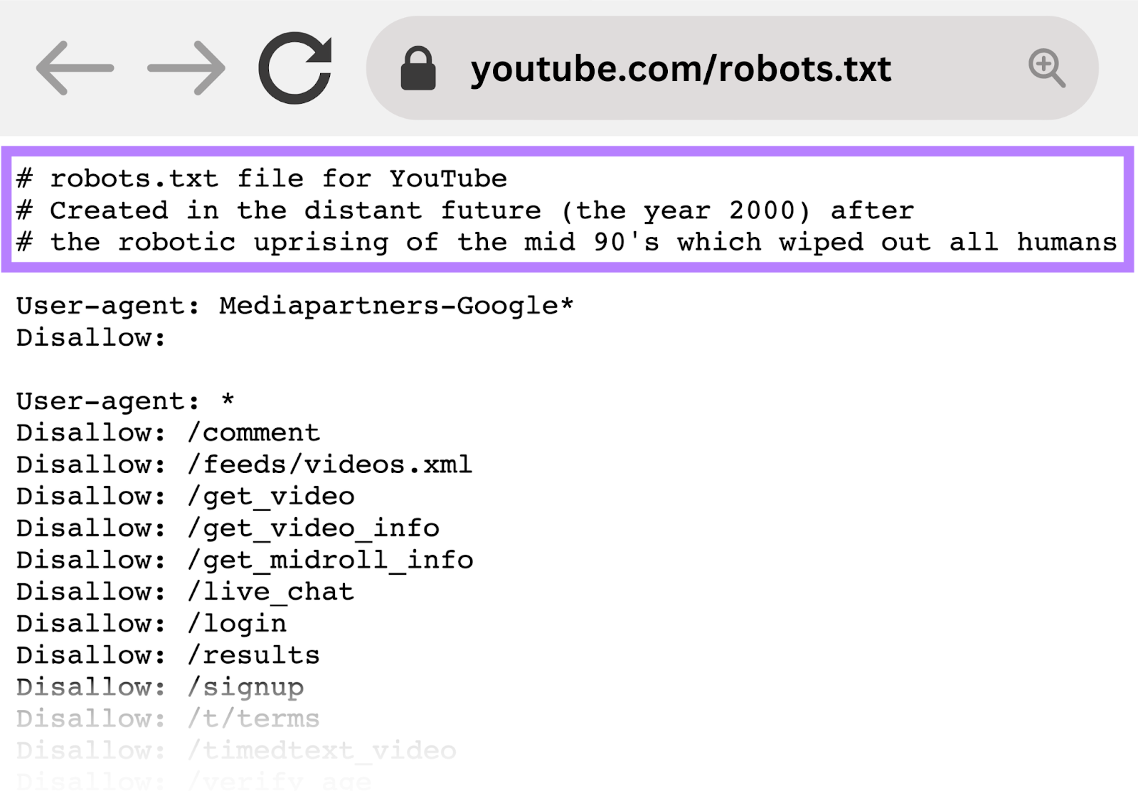 Robots.txt codes